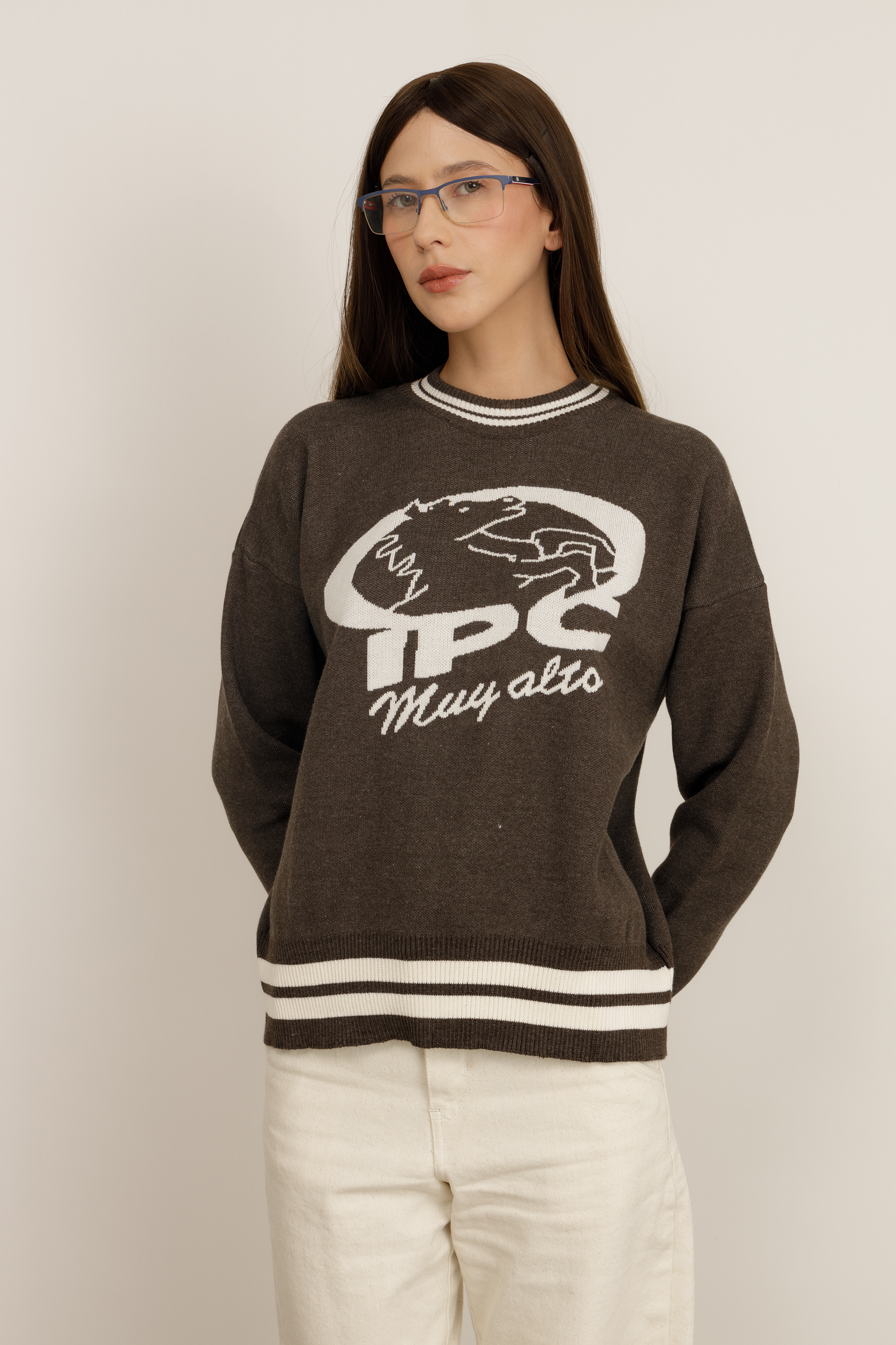 Champions Sweater Brown